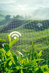 Smart agriculture 5.0 green plant product farming technology social media banner background
