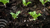 Smart farming 5.0 green plant product agricultural technology blog banner