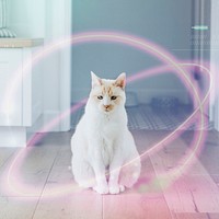 Smart pet and smart home technology background