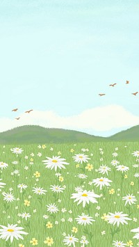 Blooming daisy field background with mountain social media story