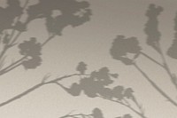 Background with shadow of cotton branch