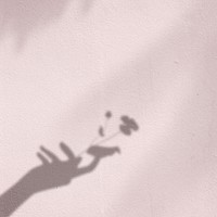 Background psd with flower in hand shadow