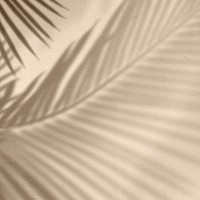 Golden background psd with palm tree