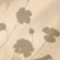 Golden background with floral shadow