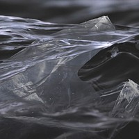 Plastic bags in the black ocean