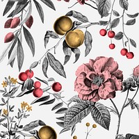Vintage rose pattern vector pink botanical and fruits illustration