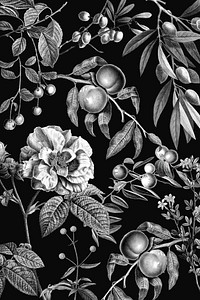 Vintage rose pattern black and white botanical and fruits illustration