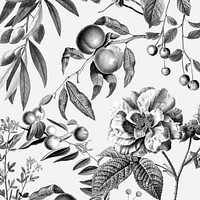 Elegant rose floral pattern vector black and white fruits vintage illustration