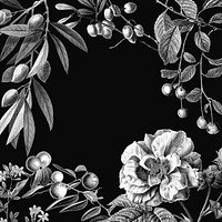 Rose frame vintage botanical illustration and fruits on black background