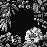 Rose frame vector vintage botanical illustration and fruits on black background