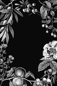 Rose frame vector vintage botanical illustration and fruits on black background