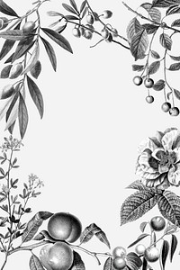Rose frame vintage floral illustration and fruits on white background