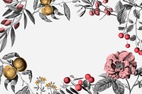 Rose frame pink vintage botanical illustration and fruits on white background