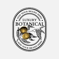 Luxury business botanical logo vector with walnut for organic beauty brand