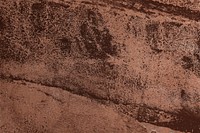 Brown grunge concrete textured background vector