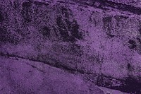 Purple grunge concrete textured background vector