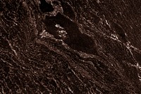 Dark brown rough surfaced background vector