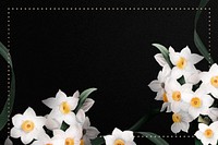 Daffodil border frame on black background