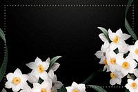 Daffodil border frame vector on black background