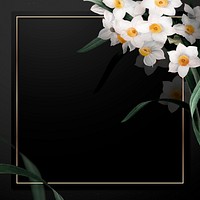 Easter frame vector with daffodil border on black background