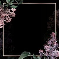 Lilac border frame on black background