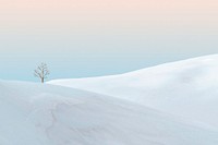 Creative background of minimal snow-covered mountain with a bare tree