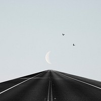 Abstract background of road to the moon with birds flying