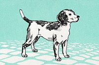 Cute beagle dog vintage illustration on green tile ground