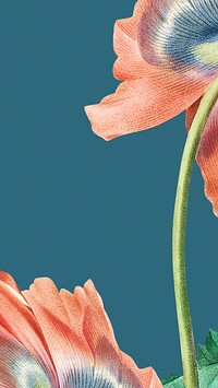 Flower name phone wallpaper illustration, remixed from public domain artworks