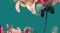 Colorful floral HD wallpaper with honeysuckle illustration, remixed from public domain artworks