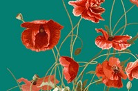 Spring floral background vector with poppy illustration, remixed from public domain artworks