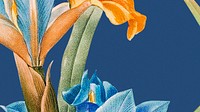 Colorful floral HD wallpaper with spanish iris illustration, remixed from public domain artworks