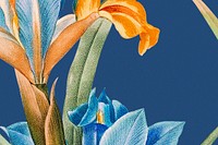 Spring floral background with iris illustration, remixed from public domain artworks