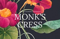 Vintage monk&#39;s cress background illustration, remixed from public domain artworks