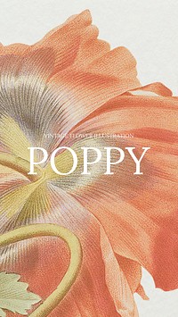 Blooming poppy flower background illustration, remixed from public domain artworks
