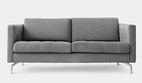 Gray modern  sofa living room furniture