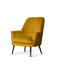 Modern lounge chair living room furniture