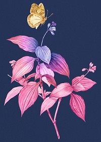 Aesthetic pink flower illustration, remixed from vintage public domain images