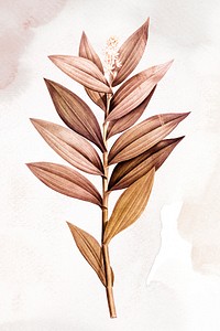 Botanical leaf illustration background, remixed from vintage public domain images