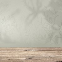 Product backdrop, empty wooden floor with green wall and plant shadow