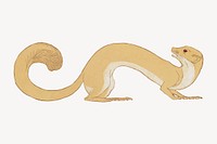 Weasel sticker, vintage animal illustration  vector