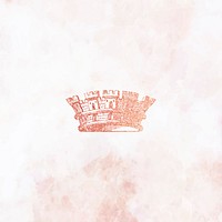 Vintage pink princess crown vector