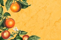 Tropical oranges on a yellow background vector