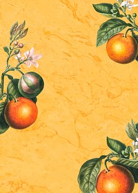 Tropical oranges on a yellow background vector