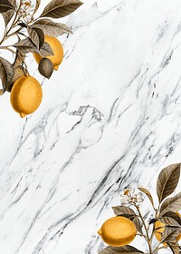 Tropical lemon on a marble background vector