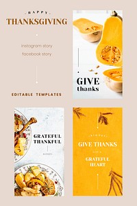 Thanksgiving greeting vector editable template set for social media stories