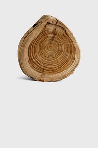 Wood slice background environment conservation