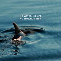 Ocean plastic pollution awareness post