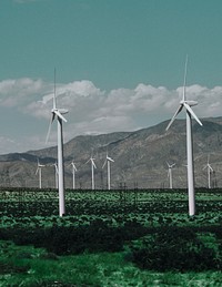 Wind farm for sustainable and renewable energy