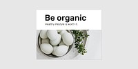 Organic food banner template vector